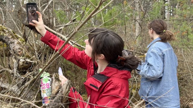 Student in red jacket photographs a fungi sample in the woods.
