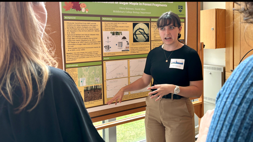 A student presents research findings during a poster session.