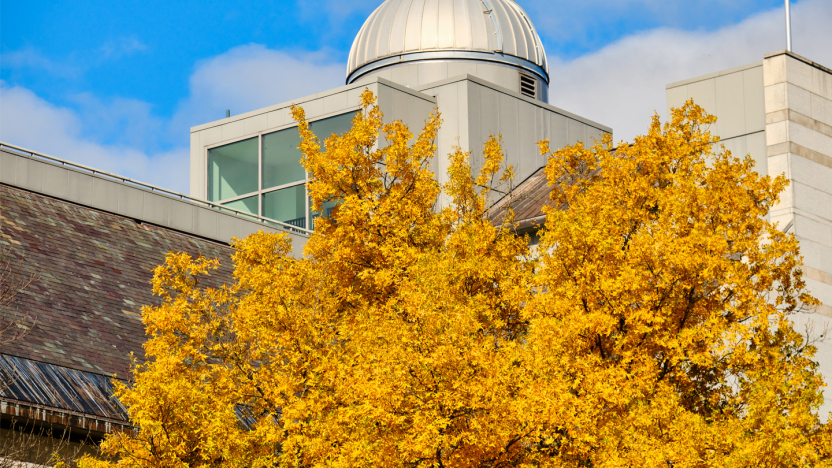 Bright yellow trees in front of the campus observatory.
