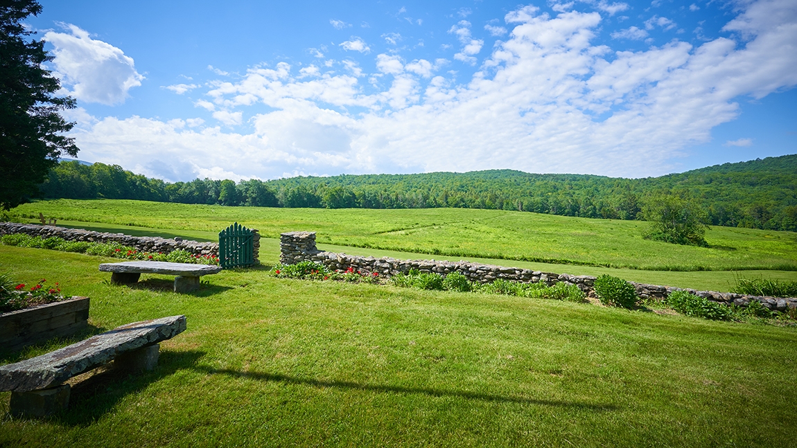 field and rock wall in sunshine with blue sky